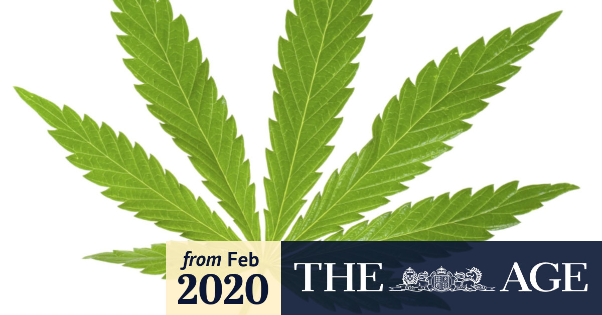 Melbourne gets its first cannabis dispensary and it may be the first of many